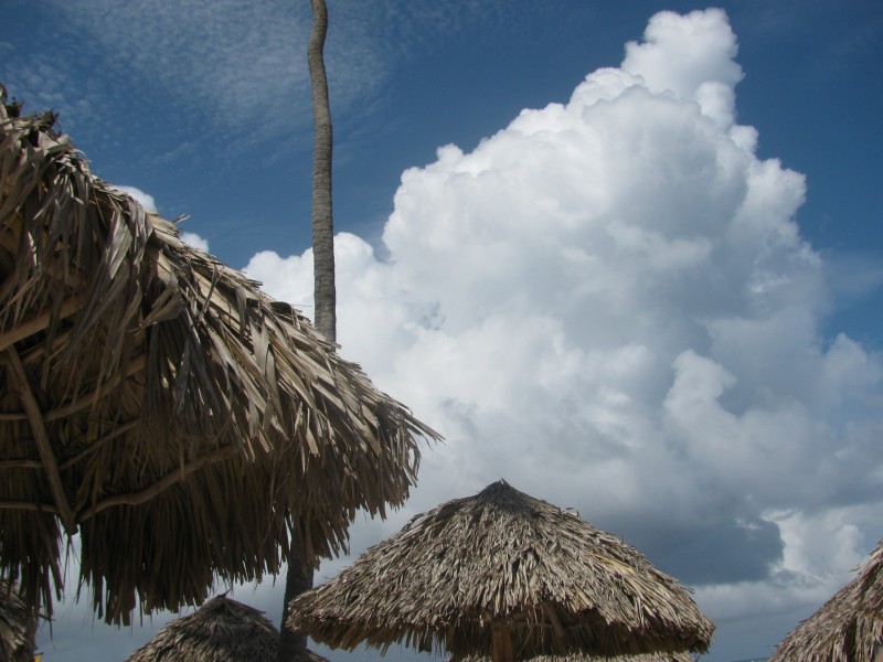 Dominican Republic 411.jpg